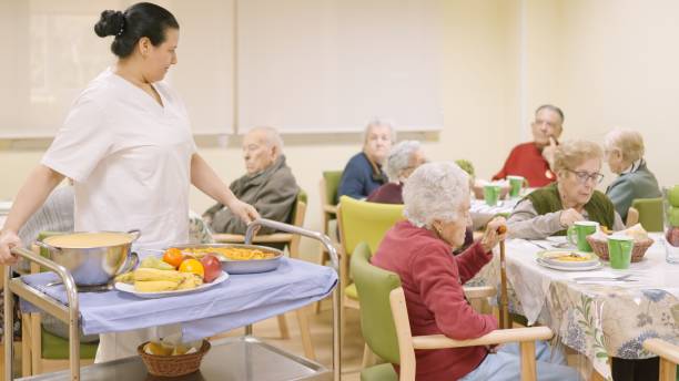Nutrition Support Services for Low-Income Seniors helping elderly adults access healthy meals in the USA